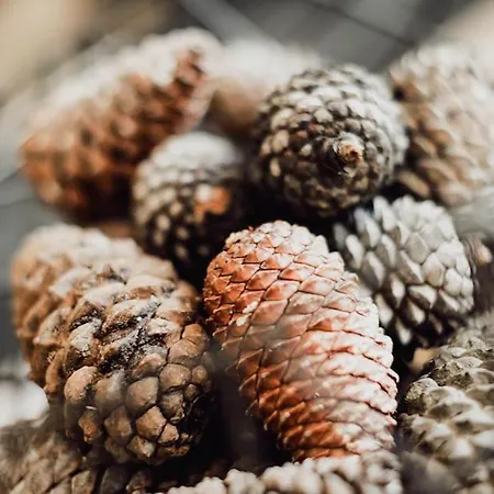 Chalet Stolz Grossarl