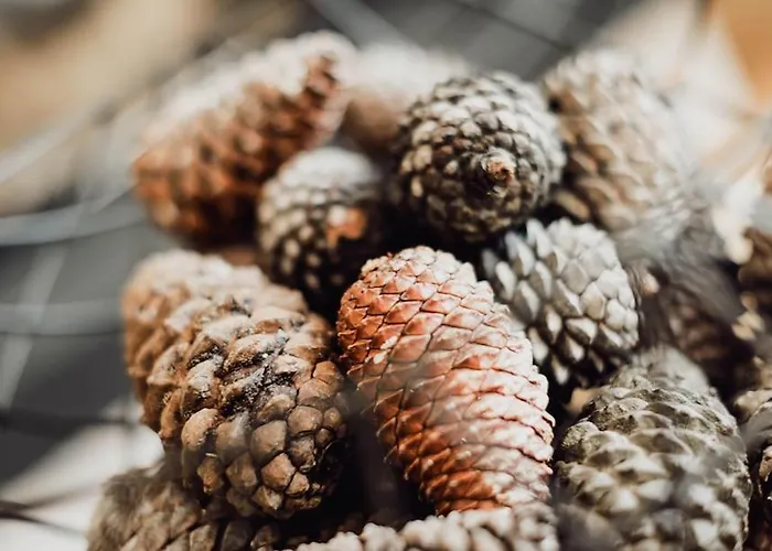 샬레 Stolz 그로살